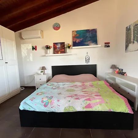 Digital Detox With 100 Animals Nature *