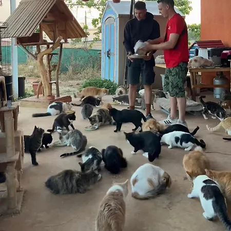 Casa vacanze Digital Detox With 100 Animals Nature Dasaki Achnas