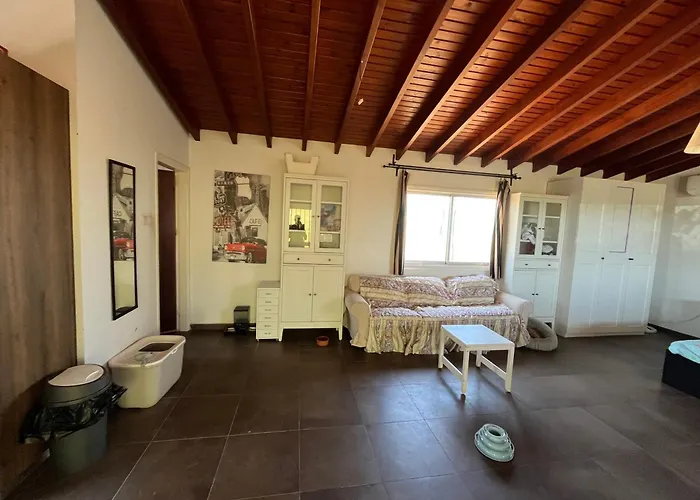 Digital Detox With 100 Animals Nature * Dasaki Achnas