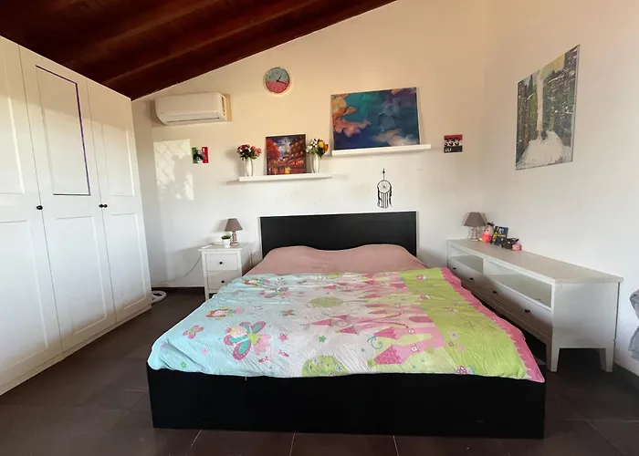 Digital Detox With 100 Animals Nature *