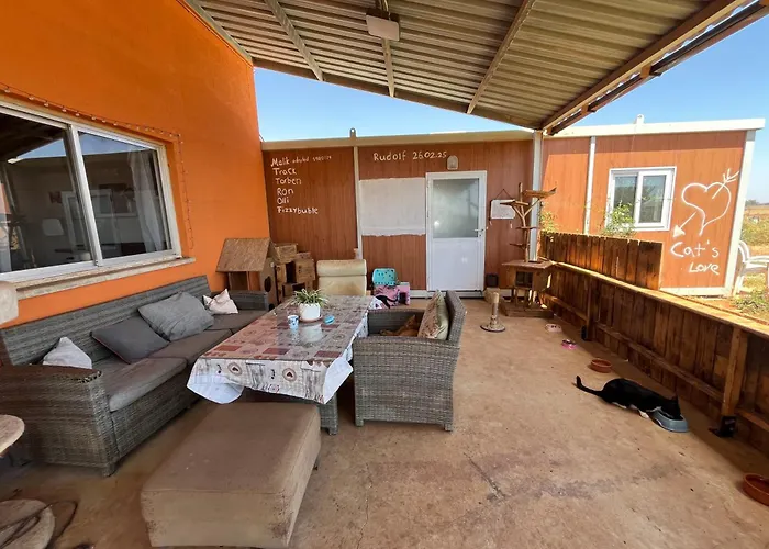 Digital Detox With 100 Animals Nature Dasaki Achnas