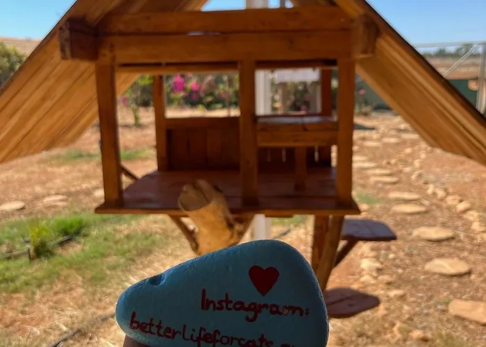 Digital Detox With 100 Animals Nature * Dasaki Achnas