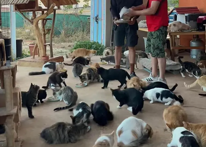 Prázdninový dům Digital Detox With 100 Animals Nature Dasaki Achnas