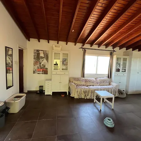 Digital Detox With 100 Animals Nature * Dasaki Achnas