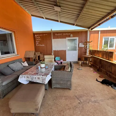 Digital Detox With 100 Animals Nature Dasaki Achnas