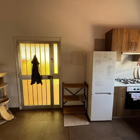 Digital Detox With 100 Animals Nature *