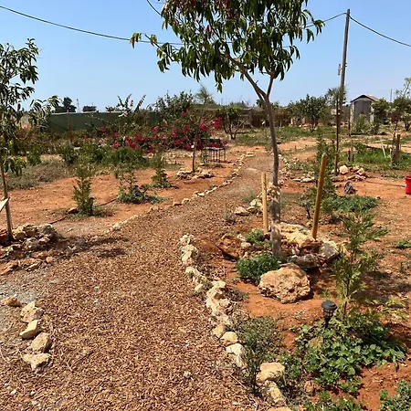 Digital Detox With 100 Animals Nature