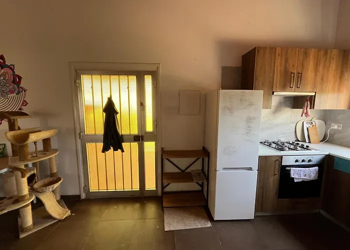 Digital Detox With 100 Animals Nature *