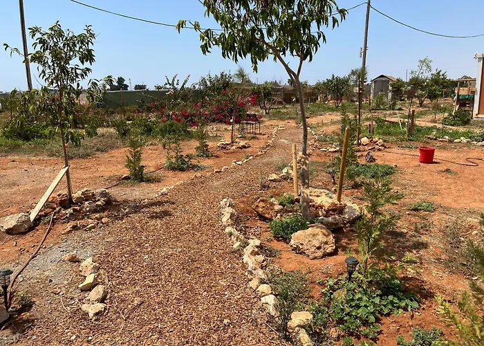 Digital Detox With 100 Animals Nature